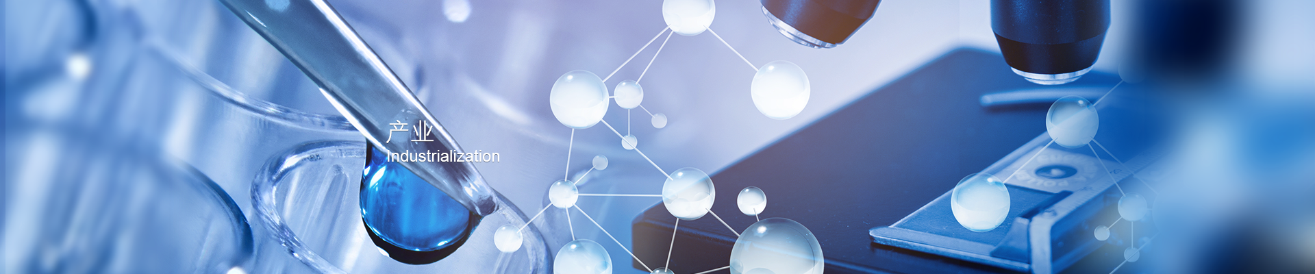 立博·英国(ladbrokes)集团官方网站